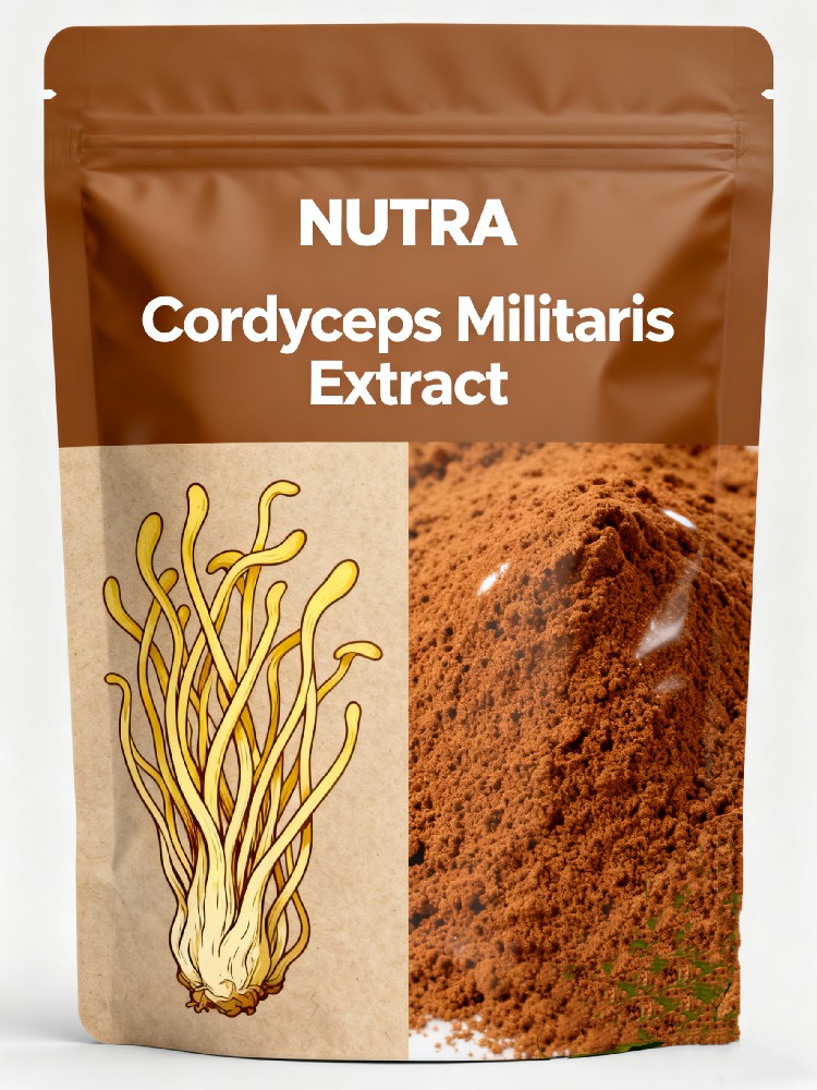 Cordyceps Militaris Extract Cordycepin 1%