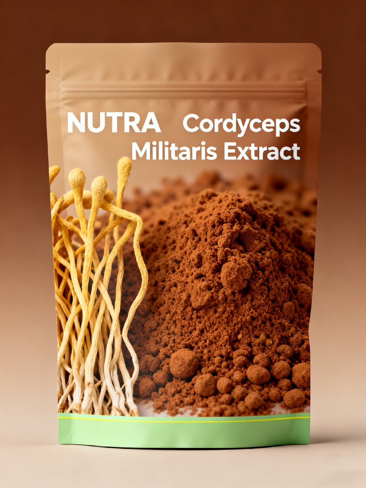 Cordyceps Militaris Extract Cordycepin 1%