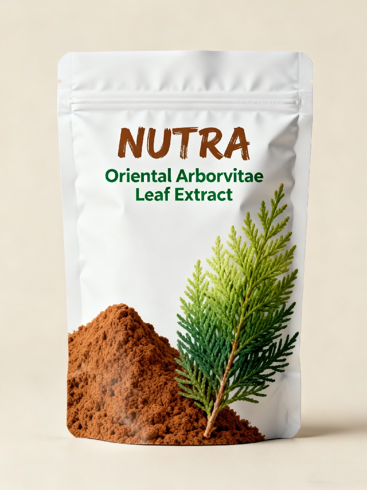 Oriental Arborvitae Leaf Extract