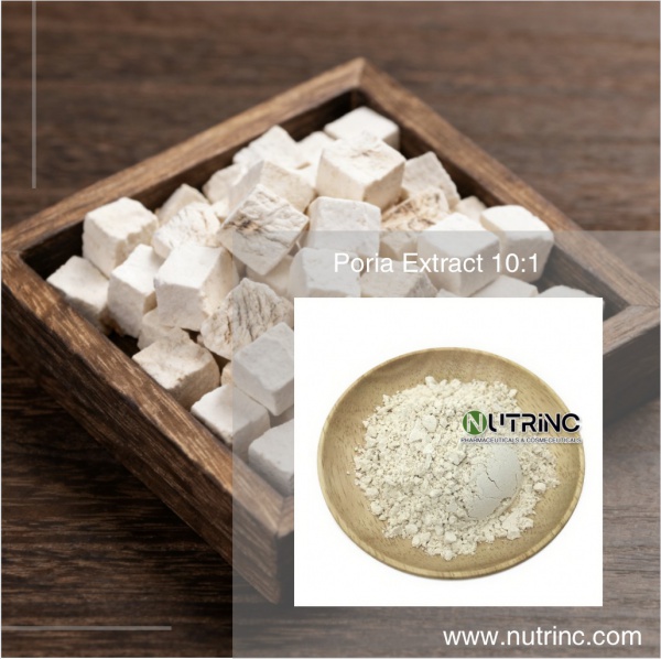 Poria Extract 10:1