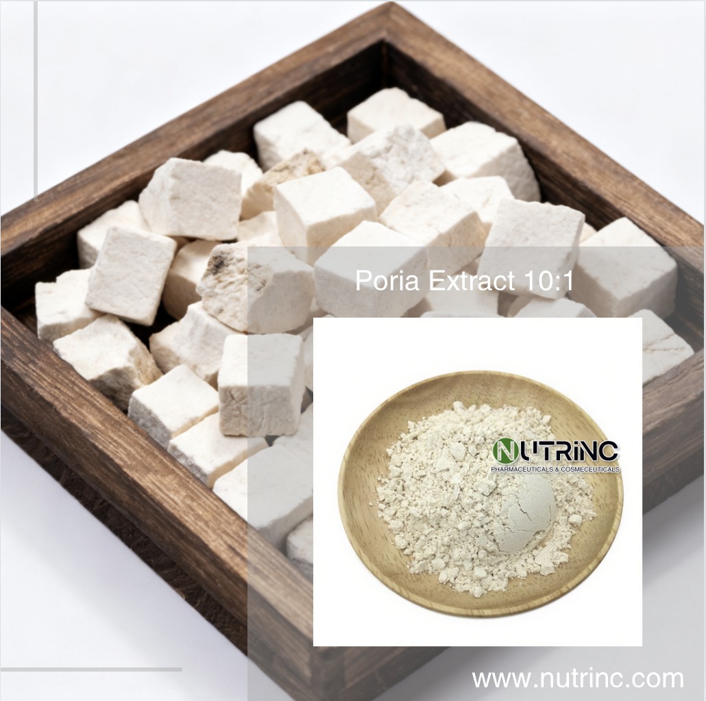 Poria Extract 10:1
