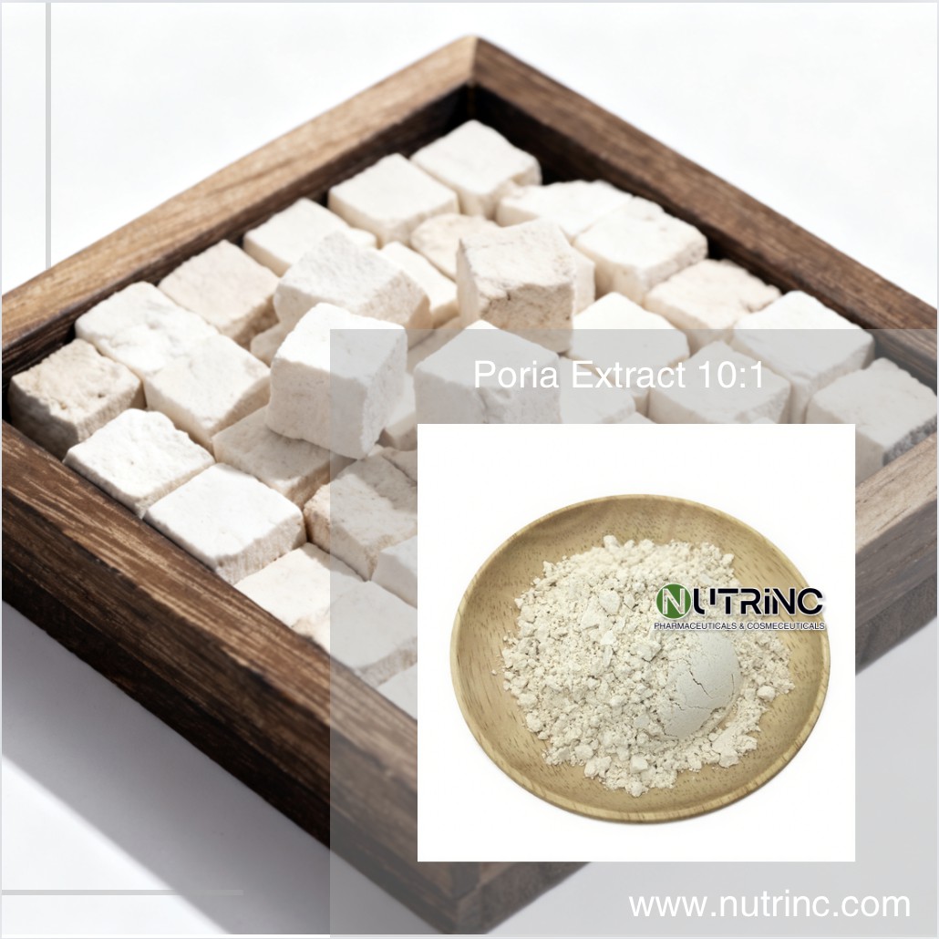 Poria Extract 10:1