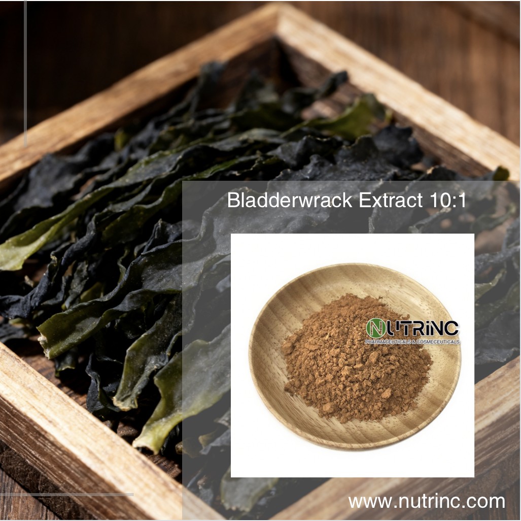 Bladderwrack Extract 10:1