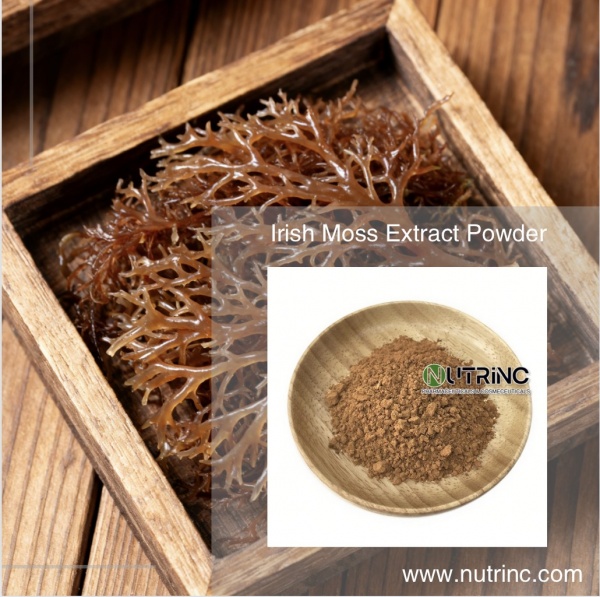 Irish Moss Extract Powder
