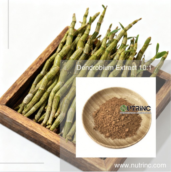 Dendrobium Extract 10:1