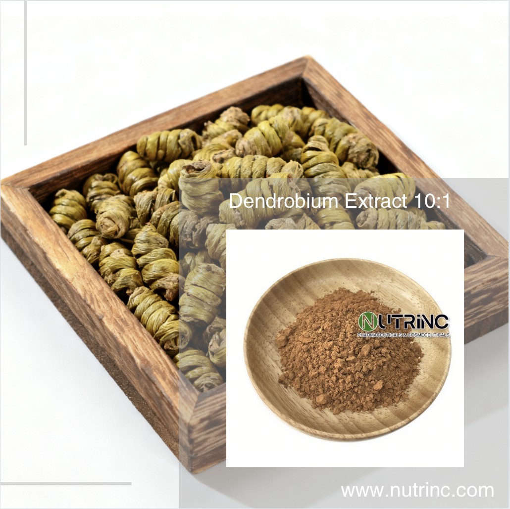Dendrobium Extract 10:1