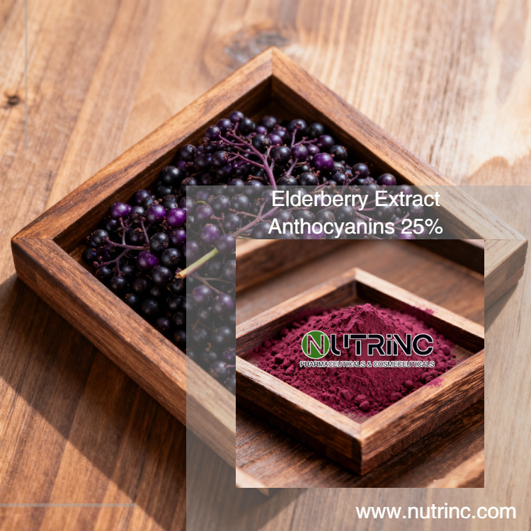 Elderberry Extract Anthocyanin 5% 25%