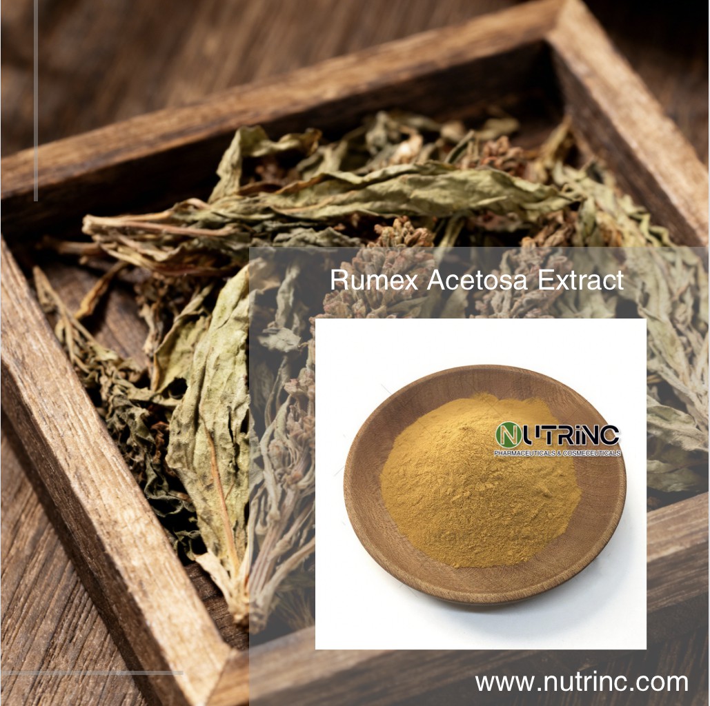 Rumex Acetosa Extract Nepodin 10% 20%