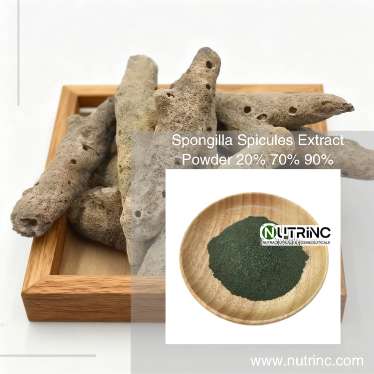 Spongilla Spicules Extract Powder 20% 70% 90%