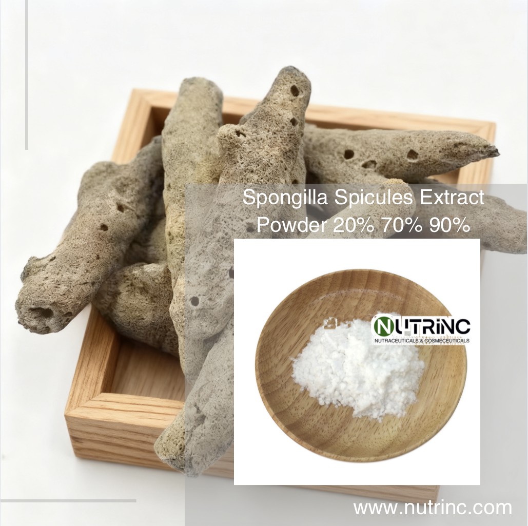 Spongilla Spicules Extract Powder 20% 70% 90%