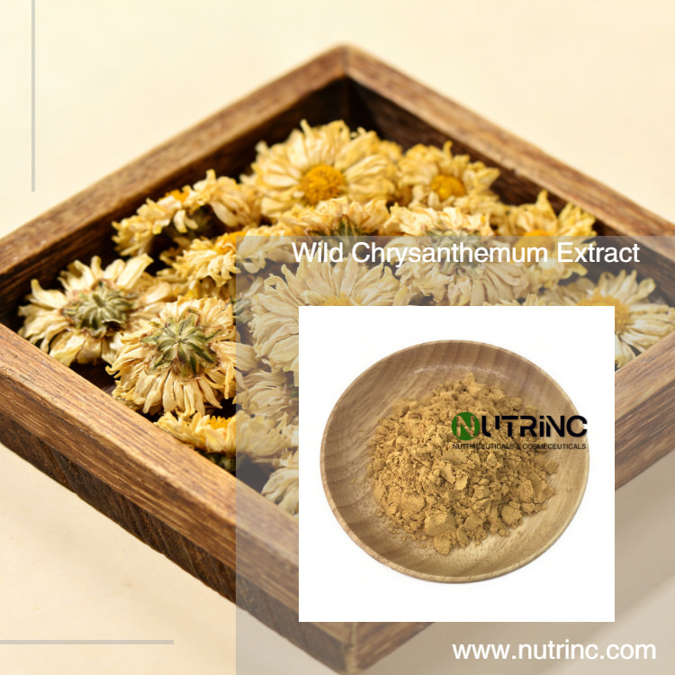 Wild Chrysanthemum Extract  linarin 0.5% Buddleoside 0.5%