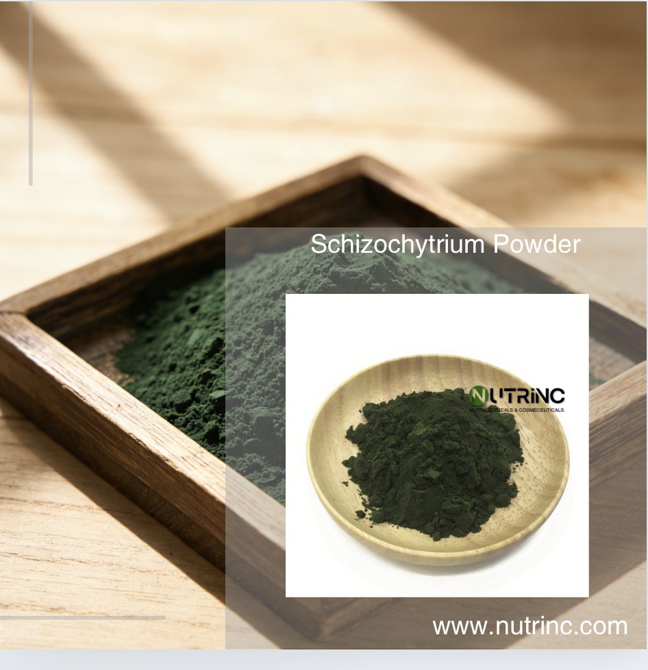 Schizochytrium Powder