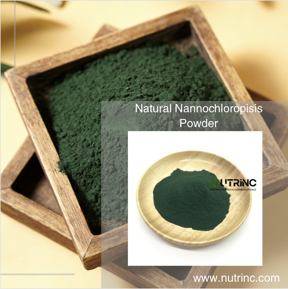 Natural Nannochloropisis Powder