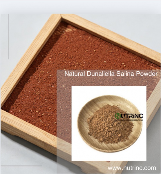 Natural Dunaliella Salina Powder