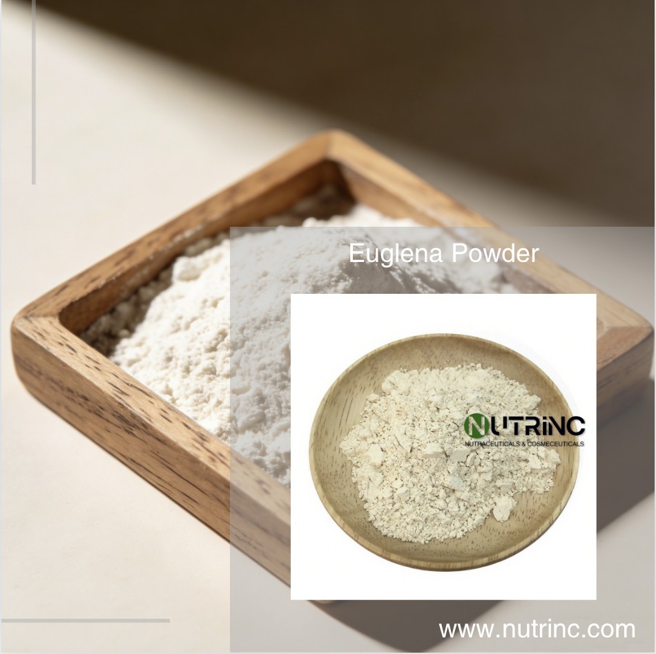 Euglena Powder