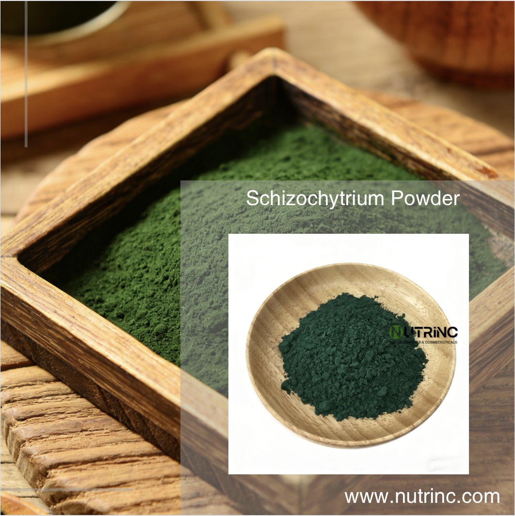 Schizochytrium Powder