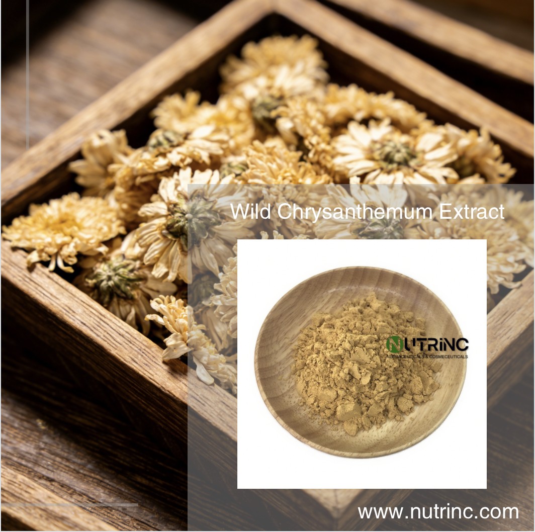 Wild Chrysanthemum Extract  linarin 0.5% Buddleoside 0.5%