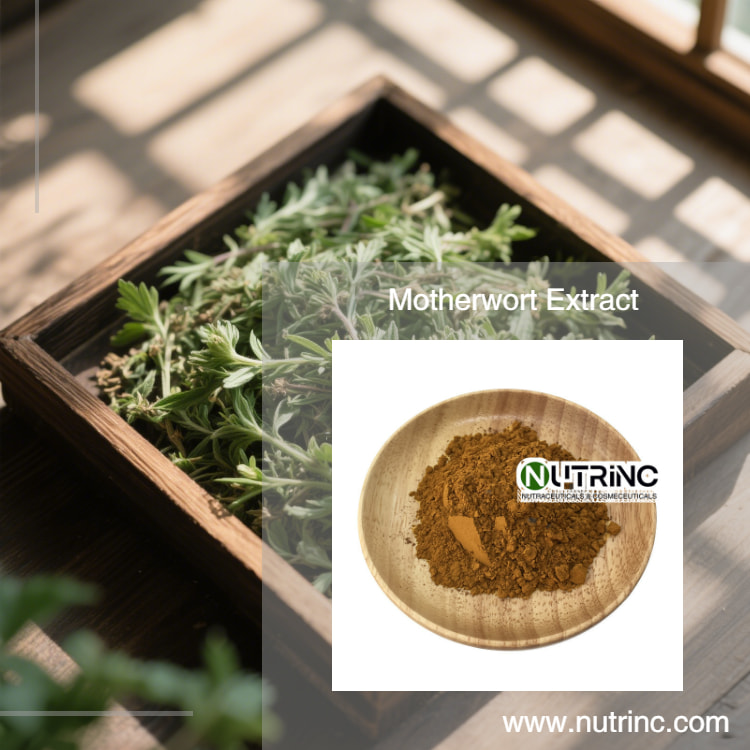 Motherwort Extract Stachydrine Hydrochloride 98%
