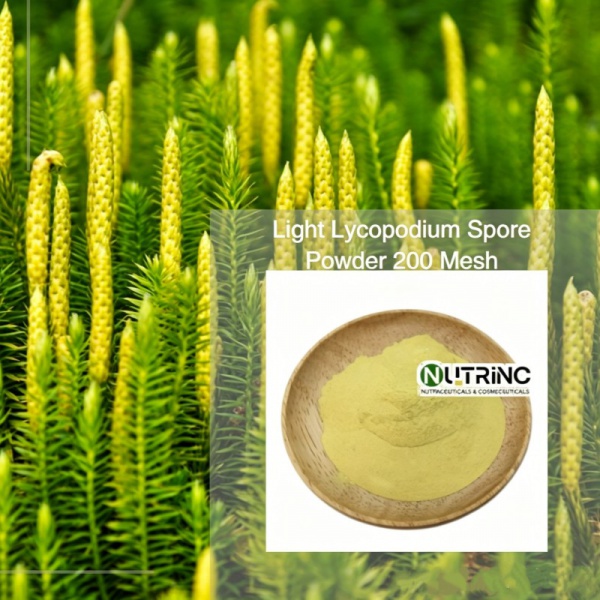 Light Lycopodium Spore Powder 200 Mesh