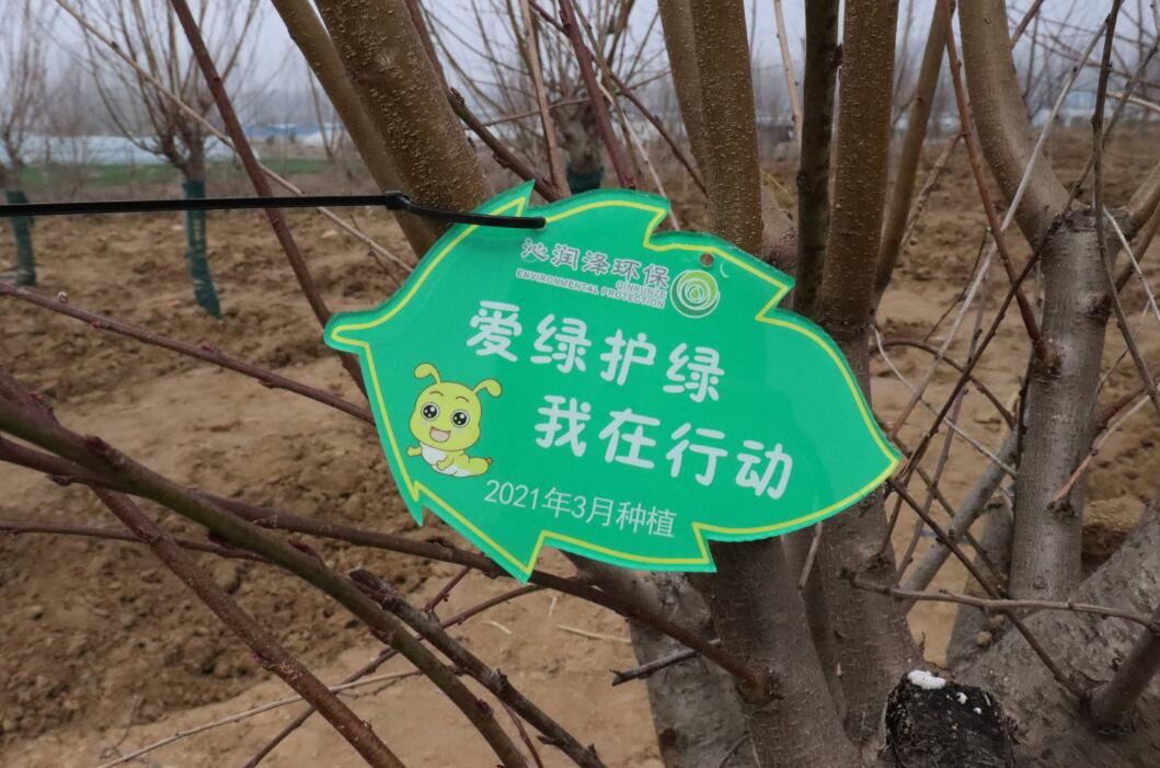 植树节,让我们关注环境保护,共建生态家园!(图4) 植树节,让我们关注环境保护,共建生态家园!(图4)