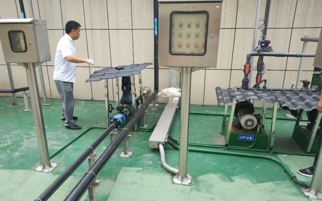 渗滤液处理站来了只白孔雀(图3)