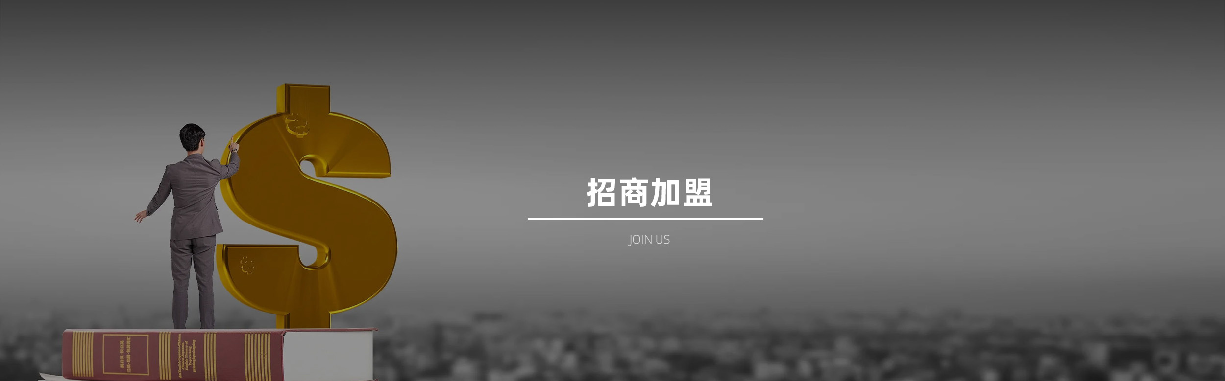 图片展示