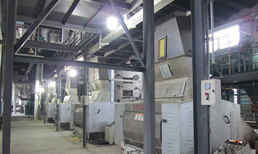 OIL SEED MACHINERY GRAIN AND OIL MACHINERY