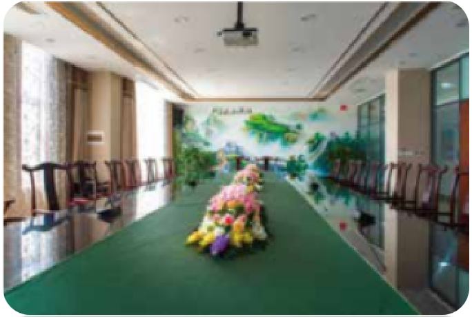 图片展示