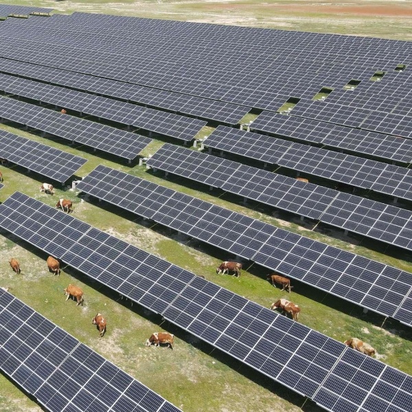 PV Grazing In Hebei