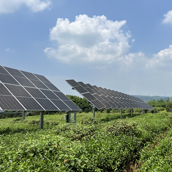 PV on Tea Garden in Zhejiang University Tea Science Experiment Base