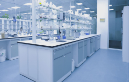 图片展示