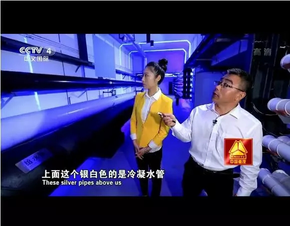 横琴地下综合管廊亮相央视《走遍中国》——管廊公司负责人接受央视采访
