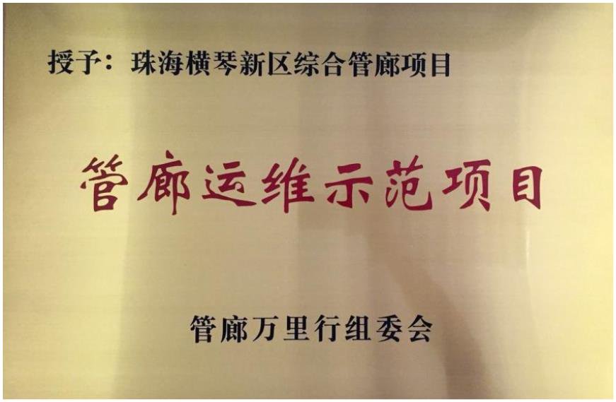 管廊运维示范项目