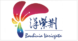 圖片展示