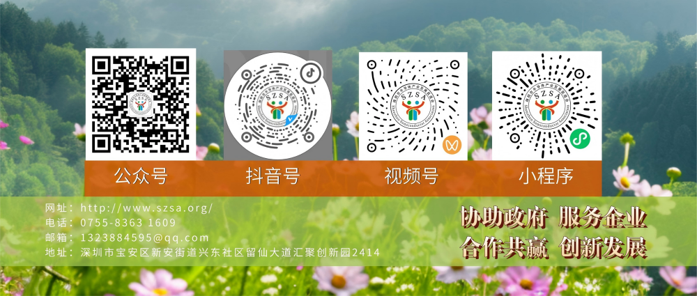 图片展示