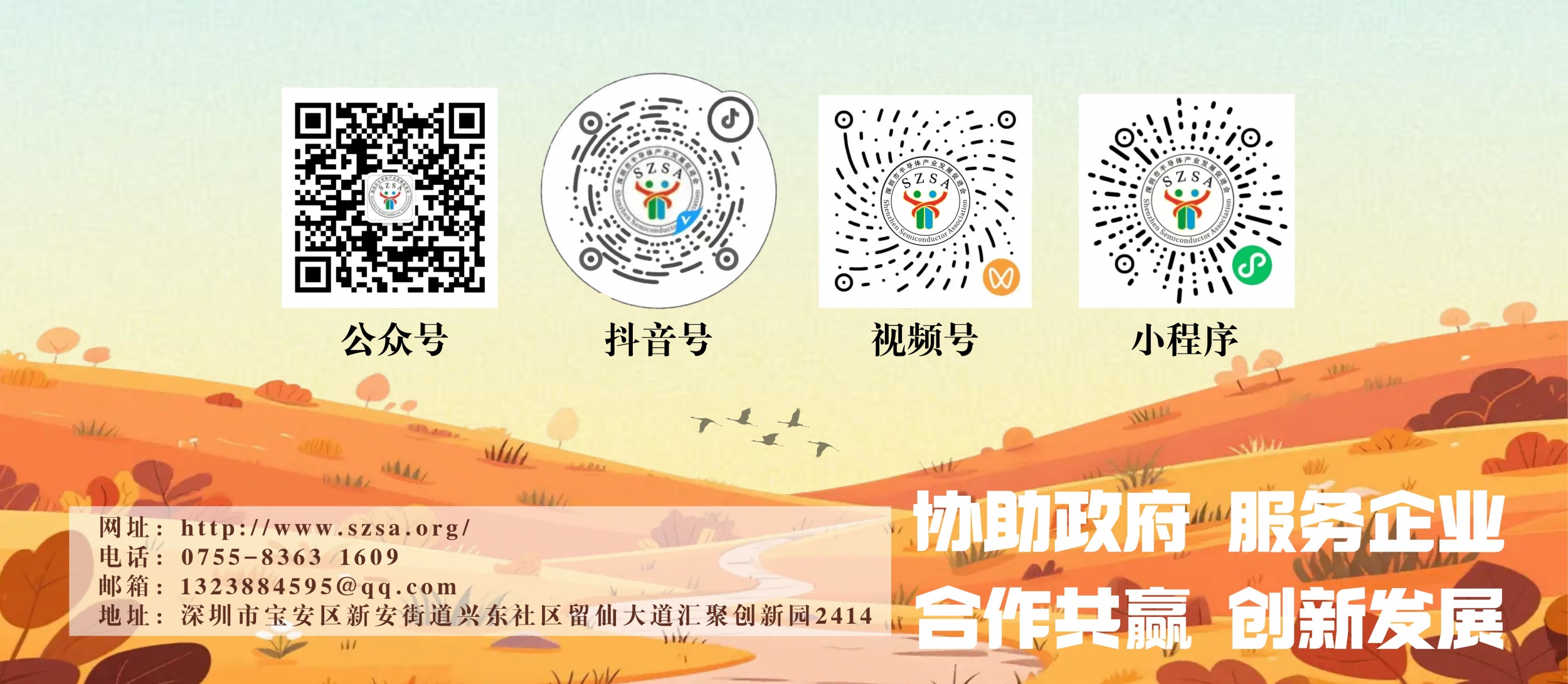 图片展示
