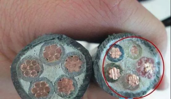 微信图片_20190924153815