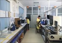 图片展示