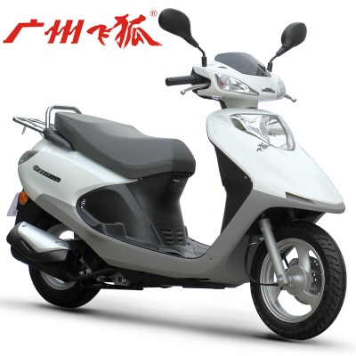 【定金】飞狐小公主