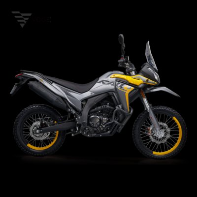 【定金】VOGE 300GY 专业越野车 国Iv