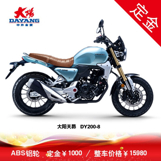 【定金】大阳天昴DY200-8复古车200cc水冷电喷摩托车