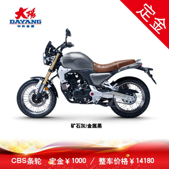 【定金】大阳天昴DY200-8复古车200cc水冷电喷摩托车
