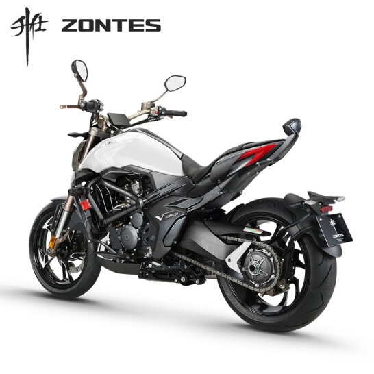 【定金】升仕ZONTES 2021新款310V1单摇臂 ABS国四碟刹单缸水冷电喷310cc摩托车