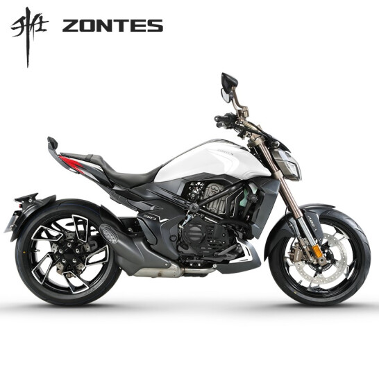 【定金】升仕ZONTES 2021新款310V1单摇臂 ABS国四碟刹单缸水冷电喷310cc摩托车