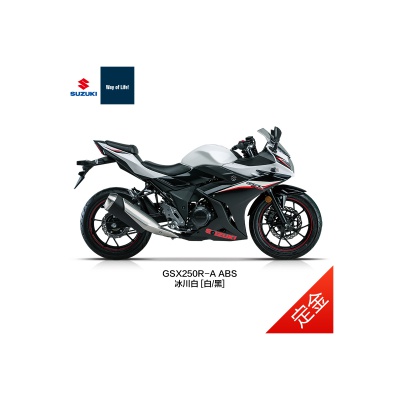 【定金】豪爵铃木GSX250R-A ABS