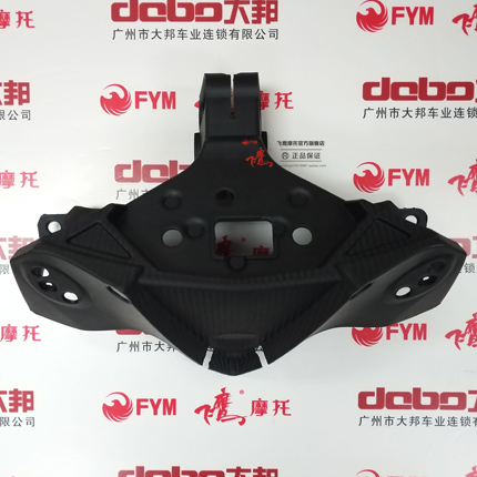 【原厂】飞鹰R25 FY250G 仪表罩/咪表罩