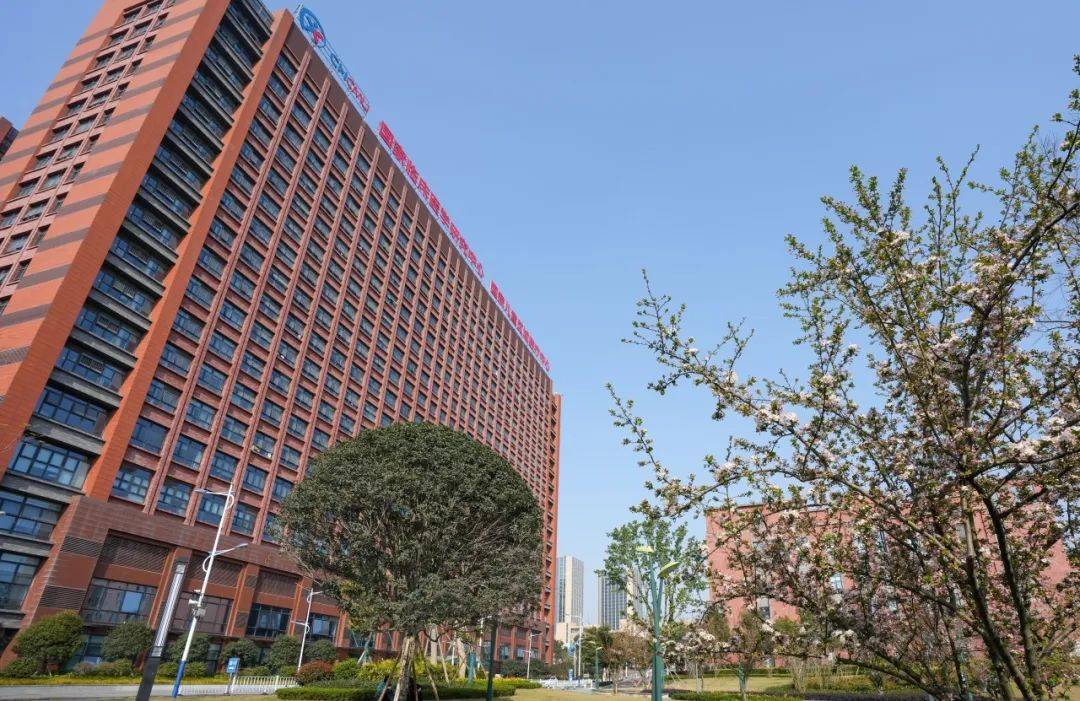 重庆医科大学附属医院
