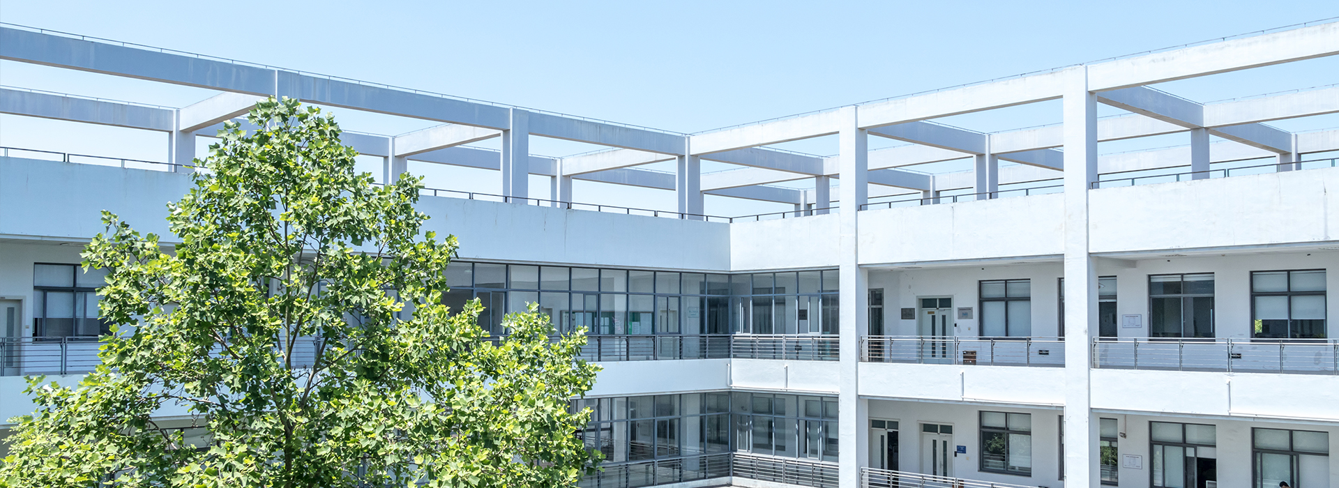 学校