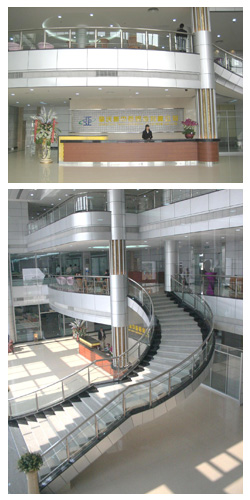图片展示