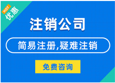 在注销公司时，我该如何查询公司的财务状况
